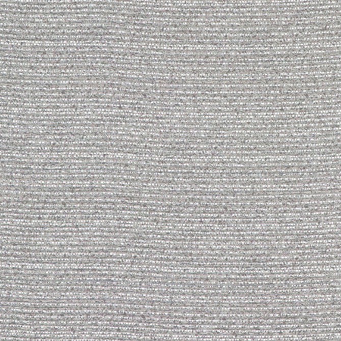 <p>Carole Fabric Range Of Luxury Slate</p><p><strong>Required Minimum Quantity Purchase: 2 yards</strong></p><p>Book: Quiet Luxury</p><p>Content: 100% Polyester</p><p>Origin: </p><p>Performance: 25,000 Wyzenbeek Double Rubs</p><p>Repeat: None</p><p>Width: 57""</p>