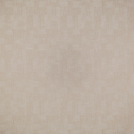 <p>Carole Fabric That Was Then Birch</p><p><strong>Required Minimum Quantity Purchase: 2 yards</strong></p><p>Book: Sea Salt</p><p>Content: 84% Polyester, 16% Cotton</p><p>Origin: </p><p>Performance: 51,000 Wyzenbeek Double Rubs</p><p>Repeat: 14 5/8" V, 13 3/4" H</p><p>Width: 54""</p>