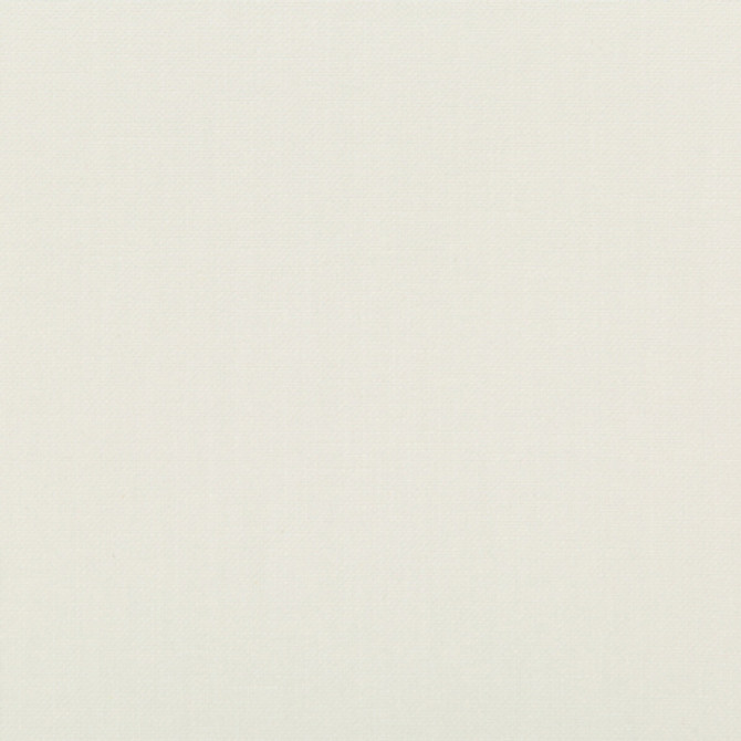 <p>Carole Fabric Tia Ivory</p><p><strong>Required Minimum Quantity Purchase: 2 yards</strong></p><p>Book: Sea Salt</p><p>Content: 77% Cotton, 23% Polyester</p><p>Origin: </p><p>Performance: 18,000 Wyzenbeek Double Rubs</p><p>Repeat: None</p><p>Width: 54""</p>