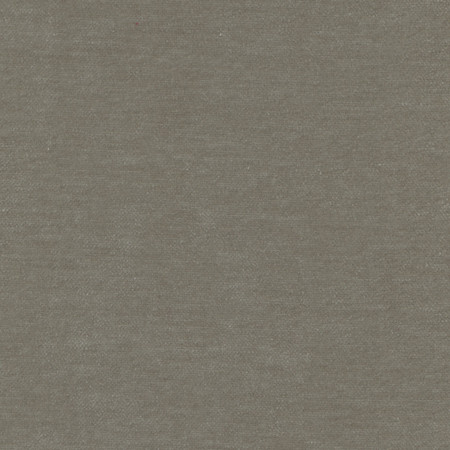 <p>Carole Fabric Warm Up Sage</p><p><strong>Required Minimum Quantity Purchase: 2 yards</strong></p><p>Book: Warm Embrace</p><p>Content: 100% Polyester</p><p>Origin: </p><p>Performance: N/A</p><p>Repeat: None</p><p>Width: 55""</p>