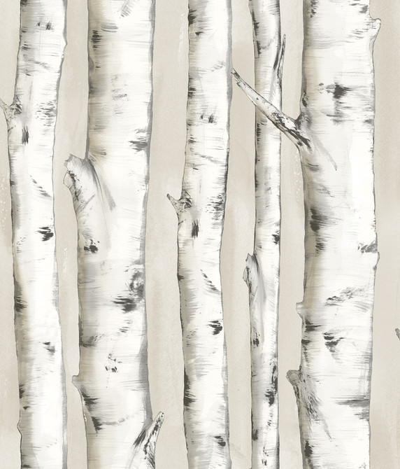 Chesapeake Pioneer Off White Birch Tree Wallpaper Birch & Sparrow Covers about 56.4 square feet 20.5-in by 33-ft long roll Prepasted 24 - My Fabric Connection - Chesapeake Pioneer Off White Birch Tree Wallpaper Birch & Sparrow Covers about 56.4 square feet 20.5-in by 33-ft long roll Prepasted 24 - My Fabric Connection -