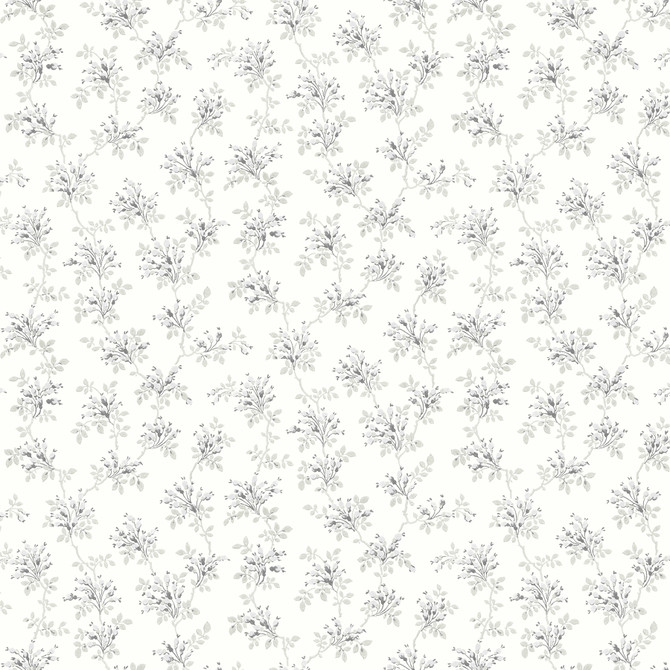 Chesapeake Sofiane Grey Botanical Trail Wallpaper Delphine Covers about 56.4 square feet United States Prepasted 20.5-in repeat, half drop match 20.5-in by 33-ft long roll - My Fabric Connection -
