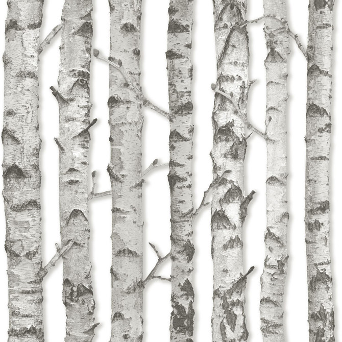 ESTA Home Merman Light Grey Birch Tree Wallpaper Design Department Covers about 56.4 square feet Netherlands Unpasted 20.9-in repeat, drop match 20.5-in by 33-ft long roll - My Fabric Connection -