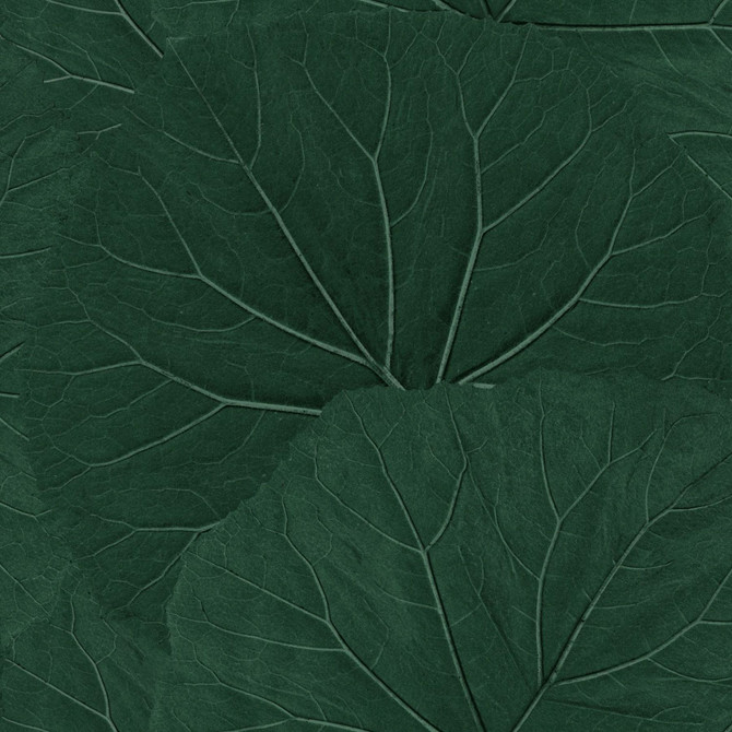 ESTA Home Xylem Evergreen Large Leaves Wallpaper Design Department Covers about 57.5 square feet Netherlands Unpasted 20.9-in repeat, half drop match 20.9-in by 33-ft long roll - My Fabric Connection -