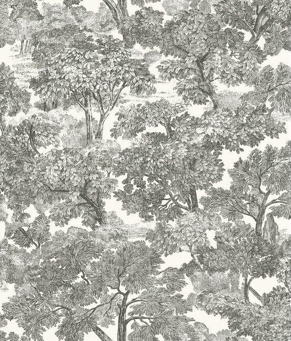 Chesapeake Spinney Black Toile Wallpaper Farmhouse Covers about 56.4 square feet United States Prepasted 24-in repeat, drop match 20.5-in by 33-ft long roll - My Fabric Connection -