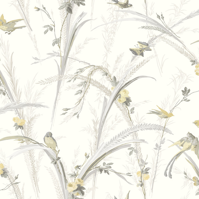 Chesapeake Meadowlark Yellow Botanical Wallpaper Kindred Covers about 56.4 square feet United States Prepasted 20.5-in repeat, straight match 20.5-in by 33-ft long roll - My Fabric Connection -
