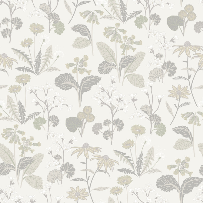 A-Street Prints Magdalena Light Grey Dandelion Wallpaper Ingrid Covers about 57.5 square feet Sweden Unpasted 20.9-in repeat, straight match 20.9-in by 33-ft long roll - My Fabric Connection - A-Street Prints Magdalena Light Grey Dandelion Wallpaper Ingrid Covers about 57.5 square feet Sweden Unpasted 20.9-in repeat, straight match 20.9-in by 33-ft long roll - My Fabric Connection -