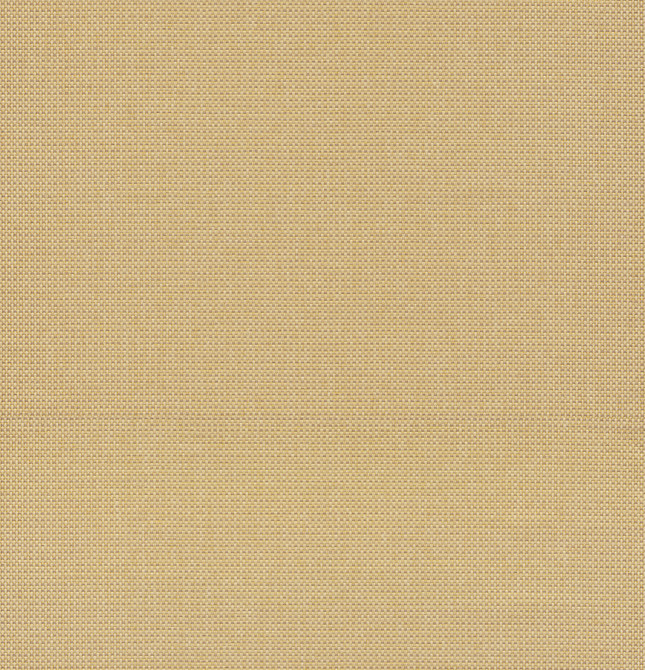 A-Street Prints Maylin Gold Paper Weave Grasscloth Wallpaper Loom Covers about 72 square feet China Unpasted No repeat, random match 36-in by 24-ft long roll - My Fabric Connection - A-Street Prints Maylin Gold Paper Weave Grasscloth Wallpaper Loom Covers about 72 square feet China Unpasted No repeat, random match 36-in by 24-ft long roll - My Fabric Connection -