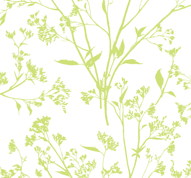 A-Street Prints Southport Chartreuse Delicate Branches Wallpaper Newport Covers about 60.8 square feet United States Unpasted 25.2-in repeat, half drop match 27-in by 27-ft long roll - My Fabric Connection -