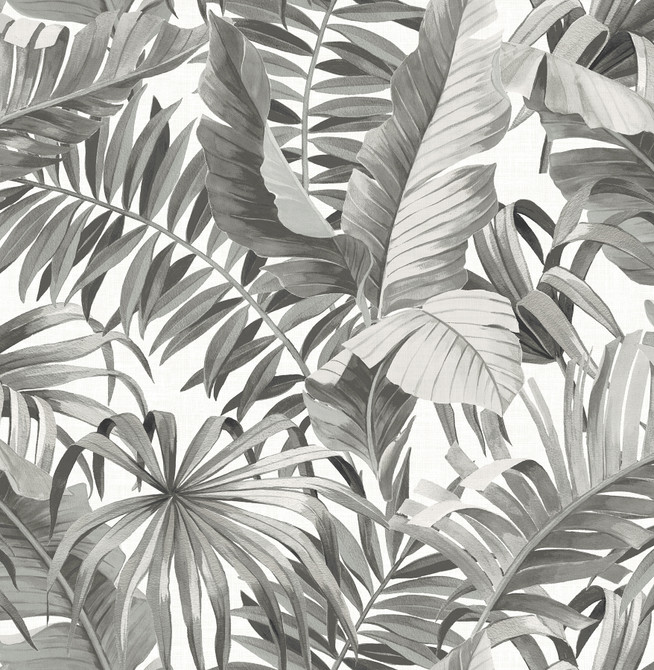 A-Street Prints Alfresco Grey Tropical Palm Wallpaper Pacifica Covers about 56.4 square feet Great Britain Unpasted 21-in repeat, drop match 20.5-in by 33-ft long roll - My Fabric Connection -