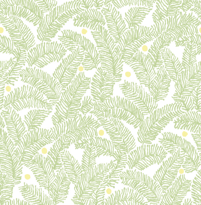 A-Street Prints Athina Sage Fern Wallpaper Pacifica Covers about 56.4 square feet Great Britain Unpasted 20.8-in repeat, straight match 20.5-in by 33-ft long roll - My Fabric Connection - A-Street Prints Athina Sage Fern Wallpaper Pacifica Covers about 56.4 square feet Great Britain Unpasted 20.8-in repeat, straight match 20.5-in by 33-ft long roll - My Fabric Connection -