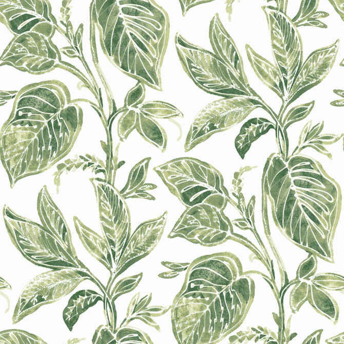 Chesapeake Mangrove Green Botanical Wallpaper Sanibel Covers about 56.4 square feet United States Prepasted 20.5-in repeat, straight match 20.5-in by 33-ft long roll - My Fabric Connection -