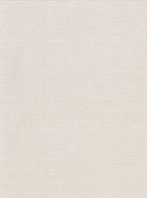Warner Avatar White Texture Wallpaper Warner Textures X Covers about 60.8 square feet United States Unpasted No repeat, random match 27-in by 27-ft long roll - My Fabric Connection -