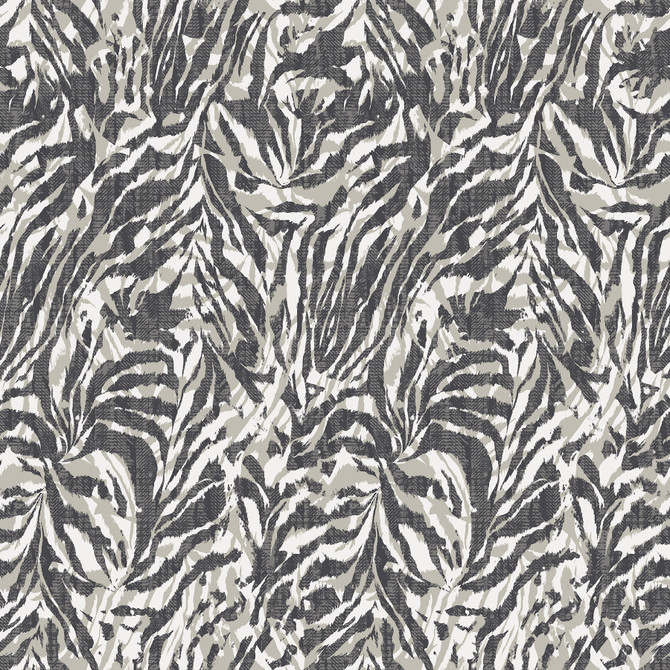 ohpopsi Davy Charcoal Zebra Wallpaper Wild Covers about 54.2 square feet Great Britain Unpasted 19.7-in repeat, straight match 19.7-in by 33-ft long roll - My Fabric Connection -