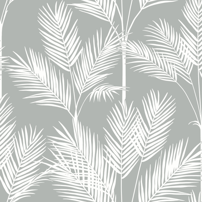 Inspired by Color King Palm Silhouette Grey Wallpaper Beige & Neutrals Covers about 56.4 square feet Prepasted 20.5-in repeat, drop match 20.5-in by 33-ft long roll - My Fabric Connection -