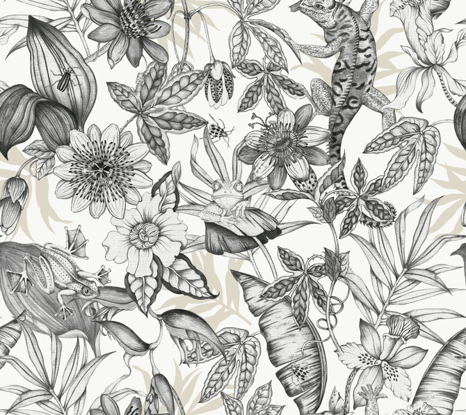 York Wallcoverings Rainforest White & Charcoal Wallpaper Blooms Covers about 60.8 square feet Unpasted 24-in repeat, straight match 27-in by 27-ft long roll - My Fabric Connection -