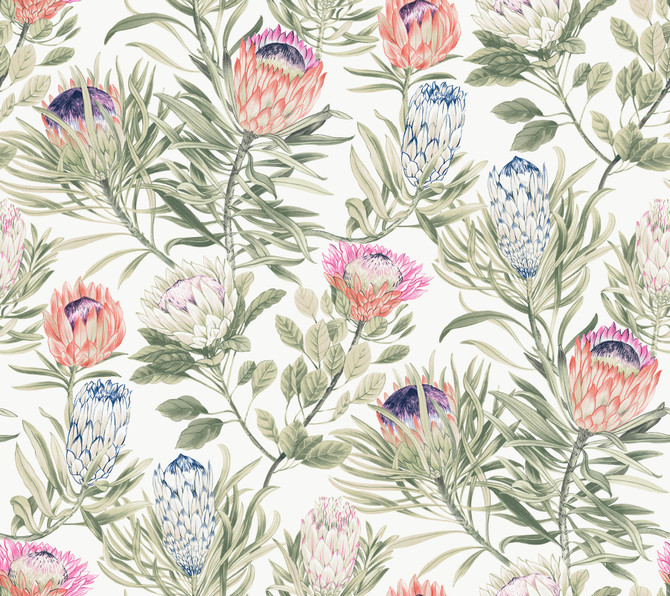 York Wallcoverings Protea White & Fuchsia Wallpaper Blooms Covers about 60.8 square feet Unpasted 24-in repeat, straight match 27-in by 27-ft long roll - My Fabric Connection -
