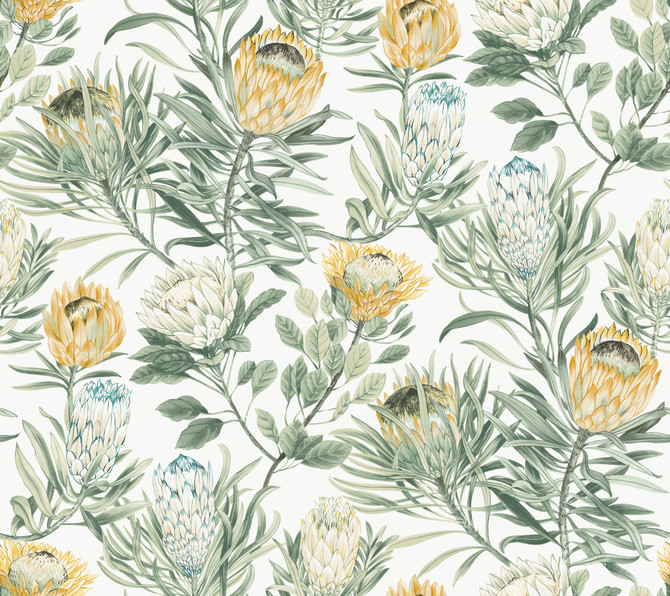 York Wallcoverings Protea White & Yellow Wallpaper Blooms Covers about 60.8 square feet Unpasted 24-in repeat, straight match 27-in by 27-ft long roll - My Fabric Connection -