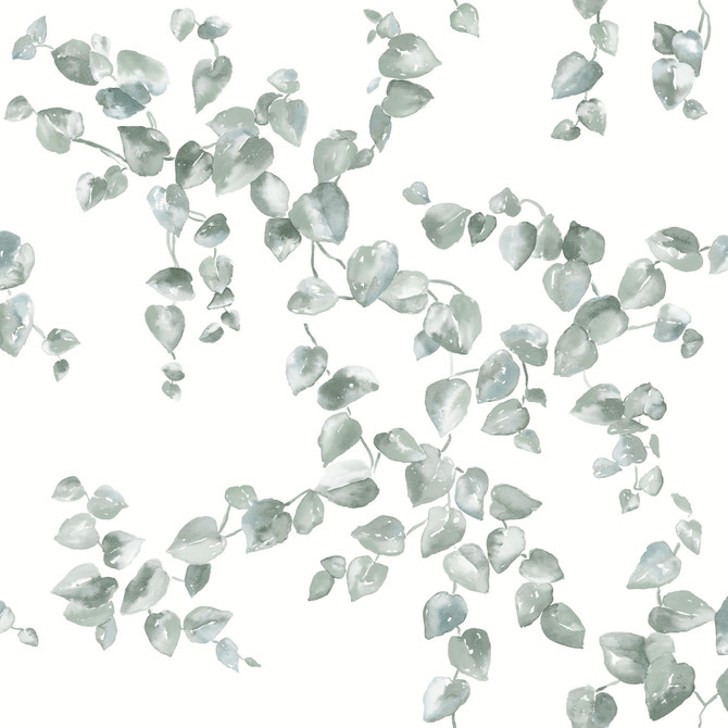 York Wallcoverings Creeping Fig Vine Sage Wallpaper Earthy Tones Covers about 56.4 square feet Unpasted 20.5-in repeat, drop match 20.5-in by 33-ft long roll - My Fabric Connection -