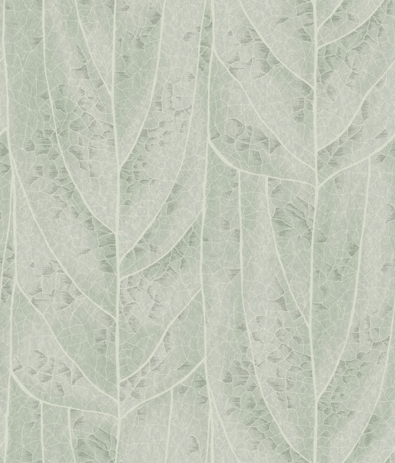Candice Olson Dicot Spa Leaf Wallpaper Natural Discovery Covers about 56.4 square feet Unpasted 24-in repeat, straight match 20.5-in by 33-ft long roll - My Fabric Connection -