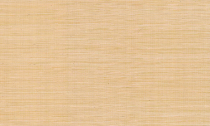 Rifle Paper Co. Palette Gold Metallic Wallpaper Rifle Paper Co. Covers about 72 square feet 36-in by 24-ft long roll Unpasted 0 - My Fabric Connection -