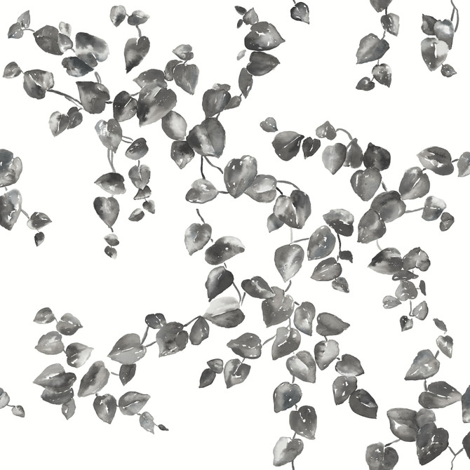 York Wallcoverings Creeping Fig Vine Black & White Wallpaper Simply Farmhouse Covers about 56.4 square feet Unpasted 20.5-in repeat, drop match 20.5-in by 33-ft long roll - My Fabric Connection -