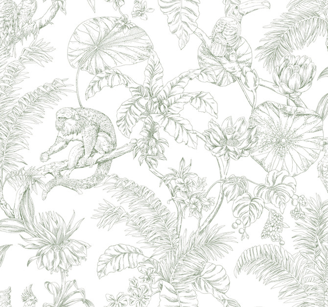 York Wallcoverings Tropical Sketch Toile Forest Wallpaper Toile Resource Library Covers about 60.8 square feet Unpasted 25.25-in repeat, drop match 27-in by 27-ft long roll - My Fabric Connection -