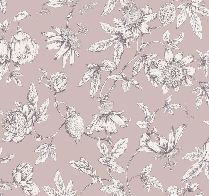 York Wallcoverings Passion Flower Toile Orchid Wallpaper Toile Resource Library Covers about 60.8 square feet Unpasted 25.25-in repeat, drop match 27-in by 27-ft long roll - My Fabric Connection -