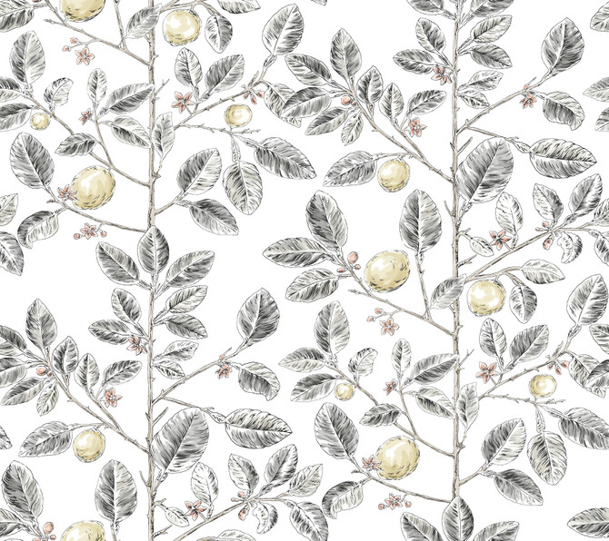 York Wallcoverings Limoncello Toile Black Wallpaper Toile Resource Library Covers about 60.8 square feet Unpasted 24-in repeat, straight match 27-in by 27-ft long roll - My Fabric Connection -