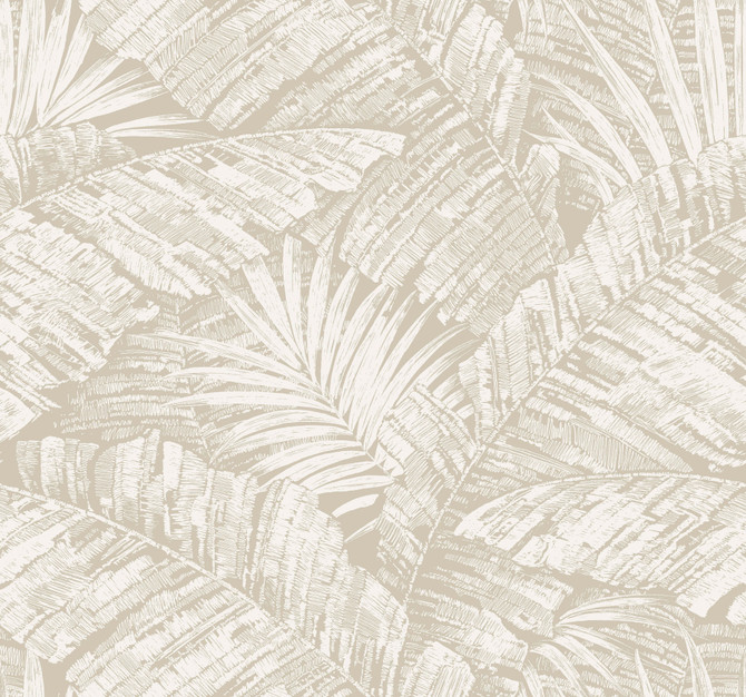 York Wallcoverings Palm Cove Toile White & Taupe Wallpaper Toile Resource Library Covers about 60.8 square feet 27-in by 27-ft long roll Unpasted 25.25 - My Fabric Connection -