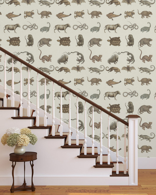 Mind the Gap Wallpaper Ark Of Seba Premium Wallpaper WALLPAPER DESIGNER COLLECTION Non-woven Made in Europe Paste the wall 3 rolls x 20.5 x 3.25 yards - My Fabric Connection -