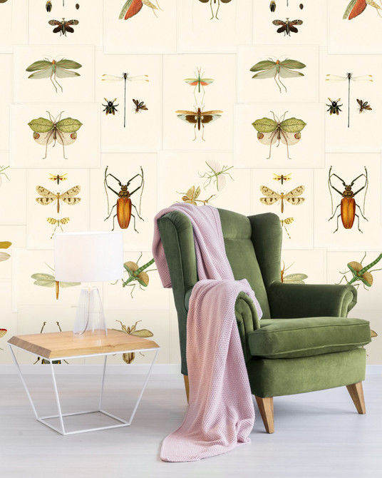 ENTOMOLOGY Wallpaper (WP20233) by Mind The Gap Designer Wallpaper | WP20233 | PREMIUM DESIGNER WALLPAPER COLLECTION | 3 rolls x 20.5 x 118.1 in | 0.52m / 20.5in | 3m / 118in | 4.65mp | 300cm / 118in | Brown, Green | Non-woven | Paste the wall | 3-rolls in a box | Fabric Carolina | https://www.fabriccarolina.com/