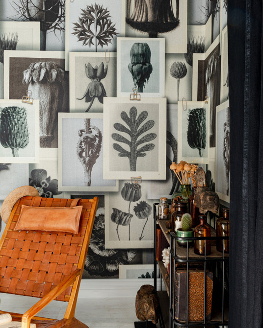 Mind the Gap Wallpaper Blossfeldt'S Art Forms Wallpaper THE WALLPAPER COMPENDIUM 2 Satin Matte Made in Europe Paste the wall 3 rolls x 20.5 x 3.25 yards - My Fabric Connection -