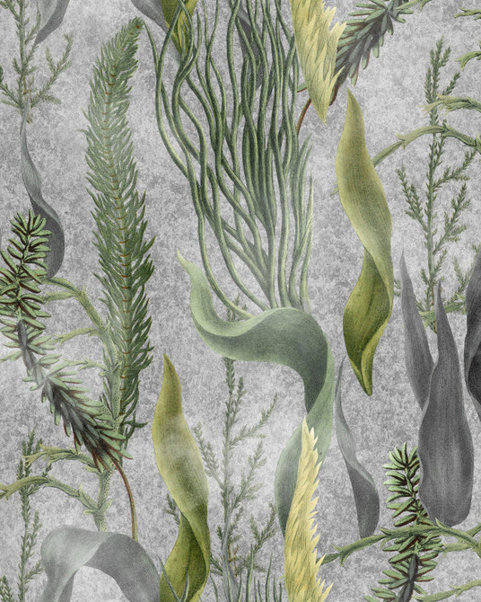Mind the Gap Wallpaper Aquatic Plants Grey Wallpaper THE WETLANDS Non-woven Made in Europe Paste the wall 1 roll x 20.47 x 9.8 yards - My Fabric Connection -