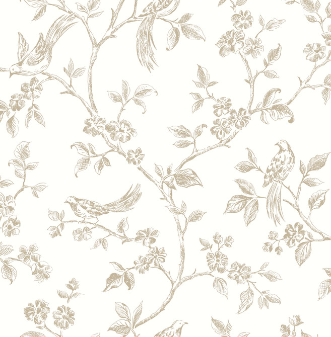 Advantage Ray Taupe Bird Trail Wallpaper Kitchen Covers about 56.4 square feet 20.5-in by 33-ft long roll Unpasted 10.4 - My Fabric Connection -