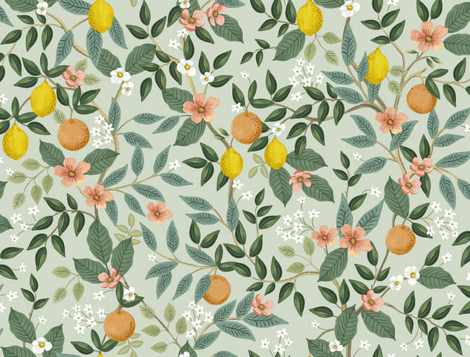 Rifle Paper Co. Citrus Grove Mint Peel & Stick Wallpaper P&S Rifle Paper 2 Covers about 45 square feet 27-in by 20-ft long roll Peel & Stick 20.5 - My Fabric Connection -