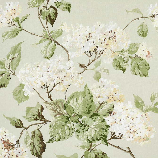 Schumacher Fabric Summer Hydrangea Celadon 180820 New Old-Fashioned 27.0" - My Fabric Connection -