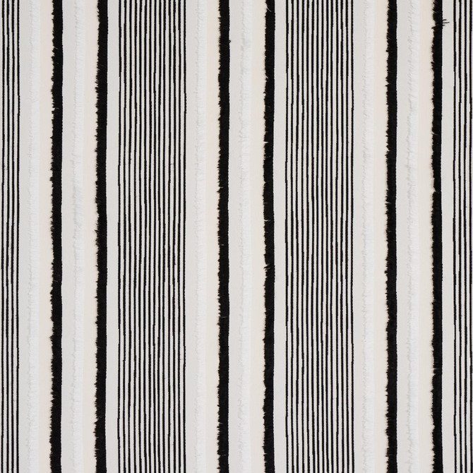 Schumacher Fabric Billy Indoor/Outdoor Black 81110 Indoor/Outdoor 8.89" - My Fabric Connection -