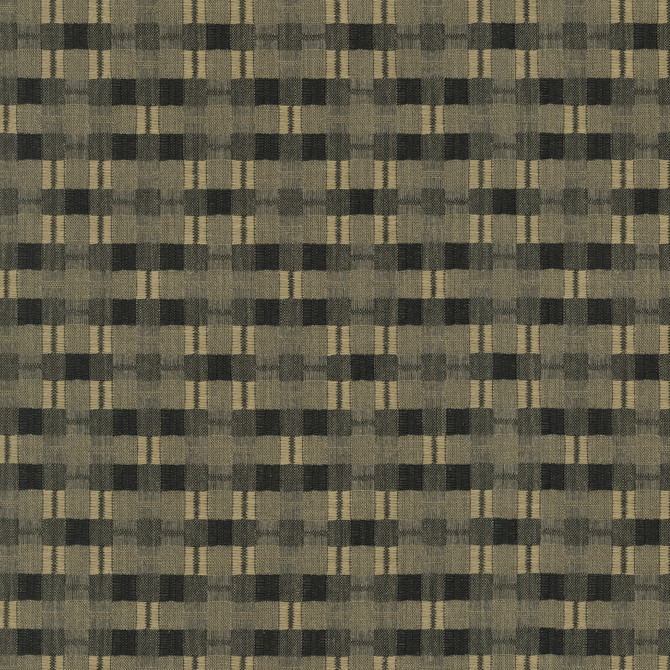 P/K Lifestyles Fabric Picnic Plaid Calligraphy - 59% polyester, 41% cotton India 51000 Horizontal: 0 and Vertical: 0 54 - My Fabric Connection -