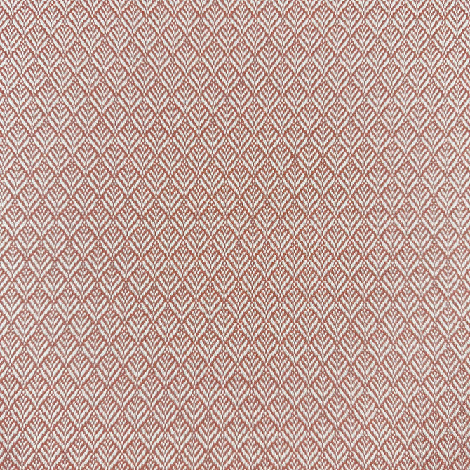 Magnolia Fabric Mimus Punch - 100% Polyester China 60000 Horizontal: 0.5 and Vertical: 0.75 54 - My Fabric Connection -