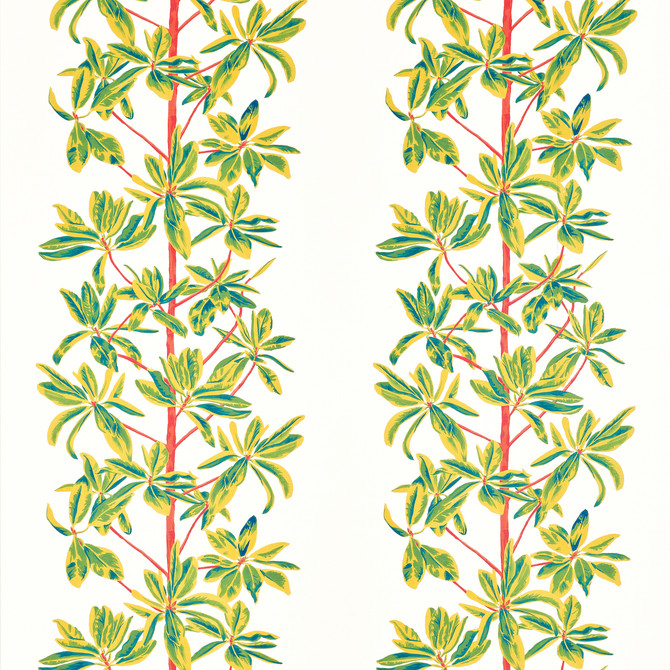 Thibaut Fabric Mangrove Tree Coral F945036 Fabric U.S.A </p><p>Repeat: H: 27  in  (68.58  cm), V: 34.75  (88.27  cm) 54  in  (137.16  cm) - My Fabric Connection -