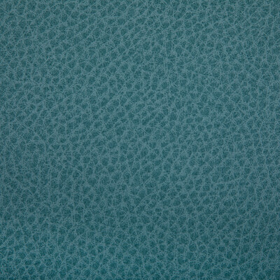 Kravet Contract - Upholstery - WOOLF.113.0 - Upholstery - POLYURETHANE - 95%;SILICONE - 5% - Taiwan </p><p>Repeat: H: , V: 27.5 21 - My Fabric Connection -