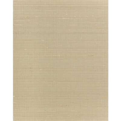 Winfield Thybony - Wallcovering - WNS5564.WT.0 - Wallcovering - SILK - 80%;POLYESTER - 20% - Netherlands </p><p>Repeat: H: , V: 27.5 21 - My Fabric Connection -