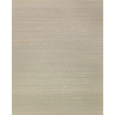 Winfield Thybony - Wallcovering - WNS5563.WT.0 - Wallcovering - SILK - 80%;POLYESTER - 20% - Netherlands </p><p>Repeat: H: , V: 27.5 21 - My Fabric Connection -