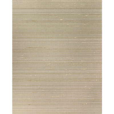 Winfield Thybony - Wallcovering - WNS5521.WT.0 - Wallcovering - SILK - 85%;POLYESTER - 15% - Netherlands </p><p>Repeat: H: , V: 27.5 21 - My Fabric Connection -