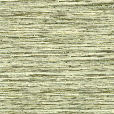 Clarke And Clarke - Wallcovering - W0192/04.CAC.0 - Wallcovering - VINYL - 100% - United Kingdom </p><p>Repeat: H: , V: 27.5 21 - My Fabric Connection -