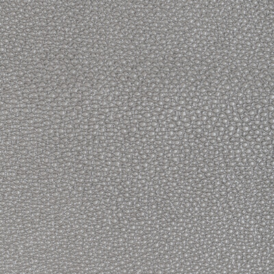 Kravet Design - Upholstery - L-WHIT.GREY.0 - Upholstery - LEATHER - 100% - Italy </p><p>Repeat: H: , V: 27.5 21 - My Fabric Connection -
