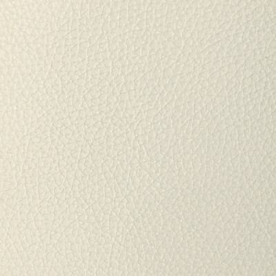 Kravet Design - Upholstery - L-TUCUM.OYSTER.0 - Upholstery - LEATHER - 100% - United States </p><p>Repeat: H: , V: 27.5 21 - My Fabric Connection -