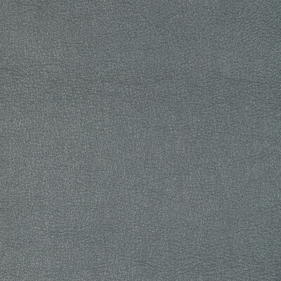 Kravet Design - Upholstery - L-SIERRA.METAL.0 - Upholstery - LEATHER - 100% - Italy </p><p>Repeat: H: , V: 27.5 21 - My Fabric Connection -