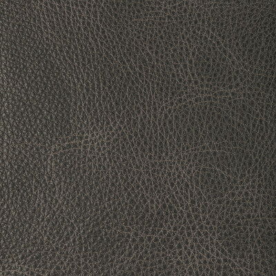 Kravet Design - Upholstery - L-NAMBE.SLATE.0 - Upholstery - LEATHER - 100% - Brazil </p><p>Repeat: H: , V: 27.5 21 - My Fabric Connection -
